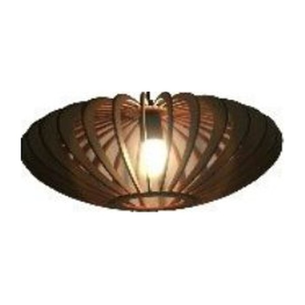 Hanging Light
