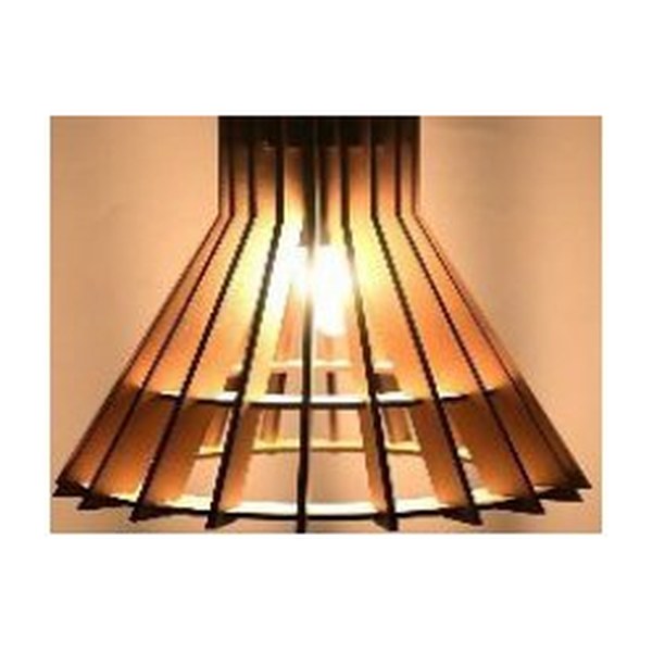 Hanging Light
