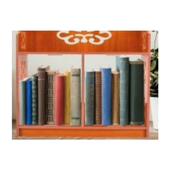 Storadge Shelf